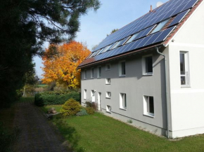 Ferienwohnungen im KUNST.HAUS am See